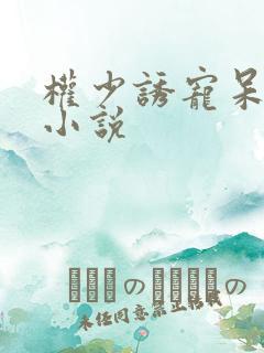 权少诱宠呆萌妻小说