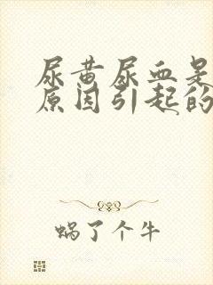 尿黄尿血是什么原因引起的