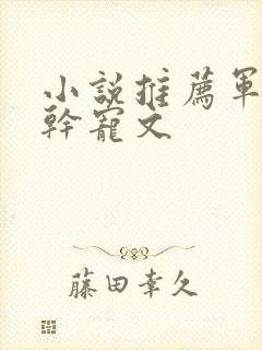 小说推荐军婚高干宠文