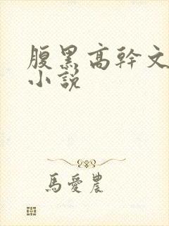 腹黑高干文经典小说