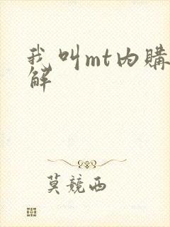 我叫mt内购破解