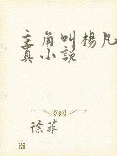 主角叫杨凡的修真小说