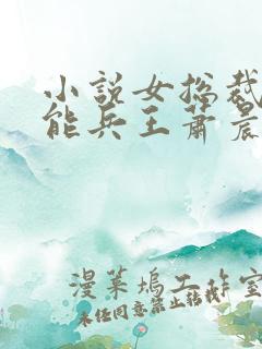 小说女总裁的全能兵王萧晨免费阅读原文