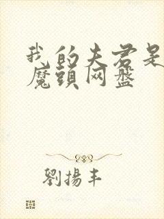 我的夫君是灭世魔头网盘