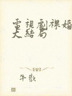 电视剧裸婚时代大结局