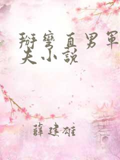 掰弯直男军官姐夫小说