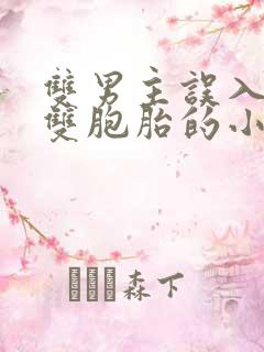 双男主误入病娇双胞胎的小说