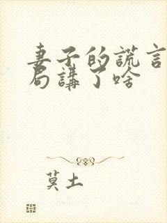 妻子的谎言大结局讲了啥