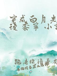 穿成白月光替身后 黍宁 小说