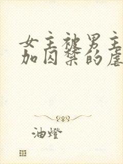 女主被男主qj加囚禁的虐文