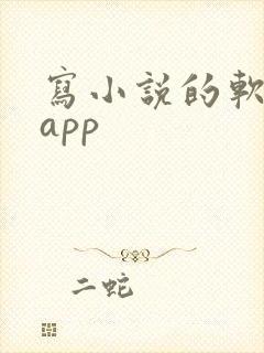 写小说的软件 app