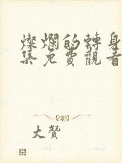 灿烂的转身40集免费观看