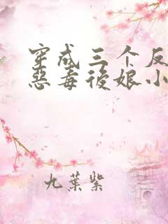 穿成三个反派的恶毒后娘小说