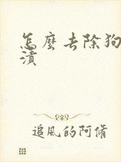 怎么去除狗狗尿渍