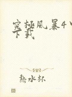 究极风暴4中文下载