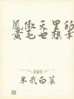 凤傲天里的反派黄毛也想幸福