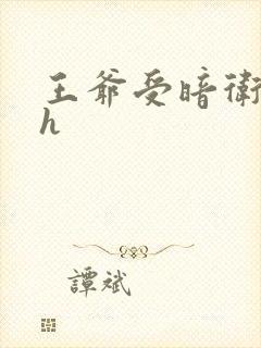 王爷受暗卫攻高h