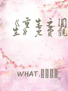 《重生之圆梦人生》免费观看全集