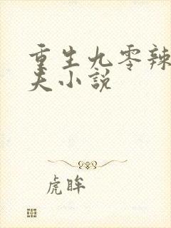 重生九零辣妻追夫小说