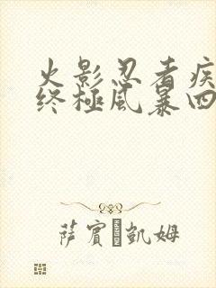 火影忍者疾风传终极风暴四