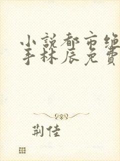 小说都市绝品高手林辰免费阅读