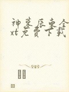 神墓辰东全本txt免费下载