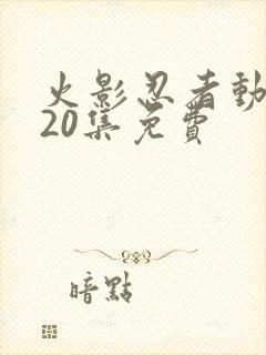 火影忍者动画720集免费