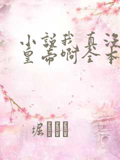 小说我真没想当皇帝啊全本阅读