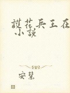 护花兵王在都市 小说