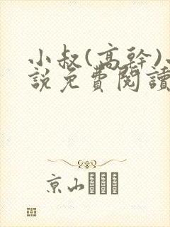 小叔(高干)小说免费阅读