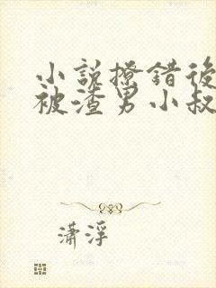 小说撩错后,我被渣男小叔狂宠入骨