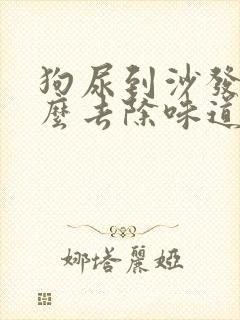 狗尿到沙发上怎么去除味道