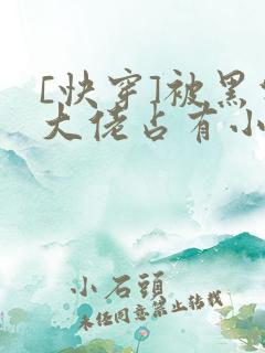 [快穿]被黑化大佬占有小说