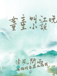 女主叫江晚吟的重生小说