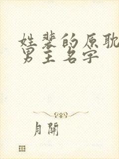 姓裴的原耽小说男主名字