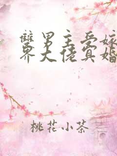 双男主受嫁给鬼界大佬冥婚的小说