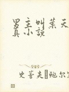 男主叫叶天的修真小说