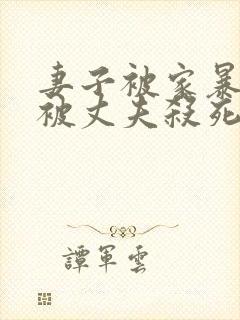 妻子被家暴最后被丈夫杀死