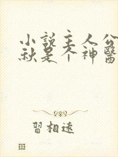 小说主人公叫叶秋是个神医的小说