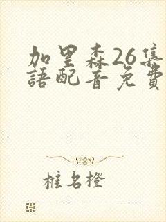 加里森26集国语配音免费观看