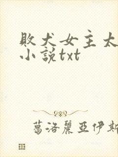 败犬女主太多了小说txt