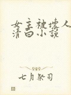 女主被坏人毁了清白小说