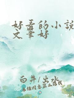 好看的小说言情文笔好