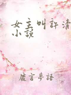 女主叫许清颜的小说