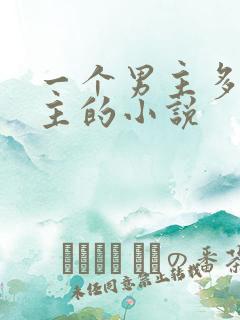 一个男主多个女主的小说