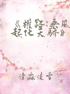 《权路:乘风而起化天骄》叶阳