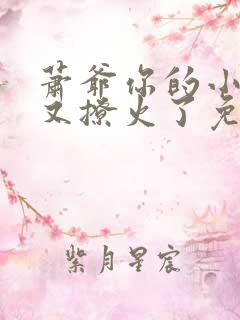 萧爷你的小撩精又撩火了免费阅读