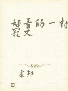 好看的一对一甜宠文