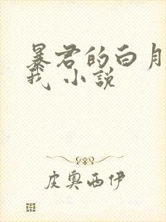 暴君的白月光是我 小说