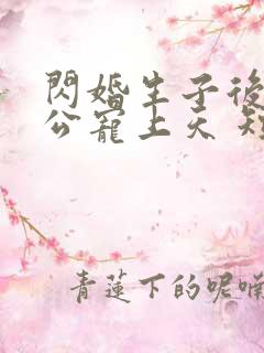 闪婚生子后被老公宠上天 短剧